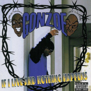 A picture of gonzoe 's album cover.